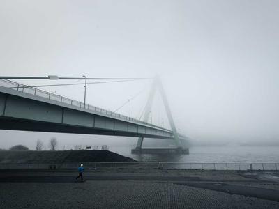 Why Choose Demo Courier for Your Business